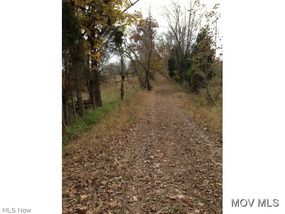 0 Barnes Run Road Sandyville, WV 25275 - Photo 14 of 20