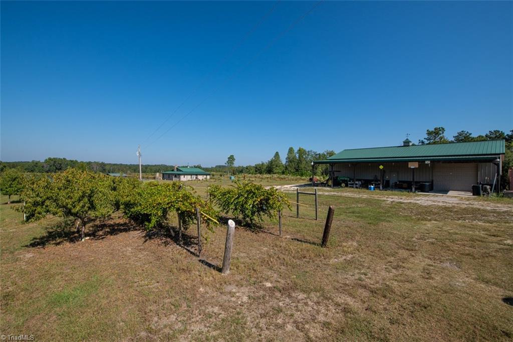 348 Ellerbe Grove Church Road Rockingham, NC 28379 - Photo 8 of 30