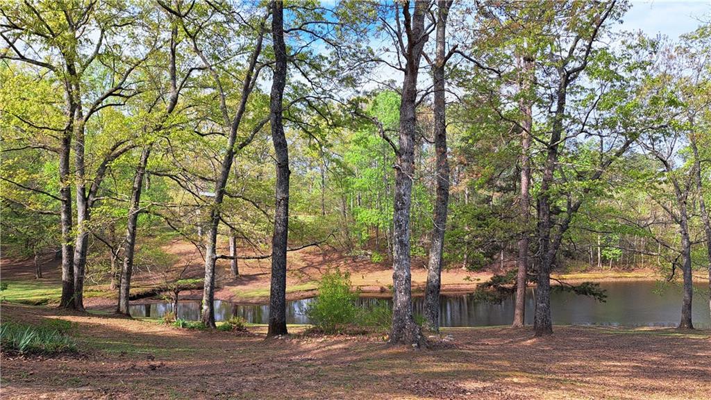 112 Brannon Road Buchanan, GA 30113 - Photo 38 of 40 not sure