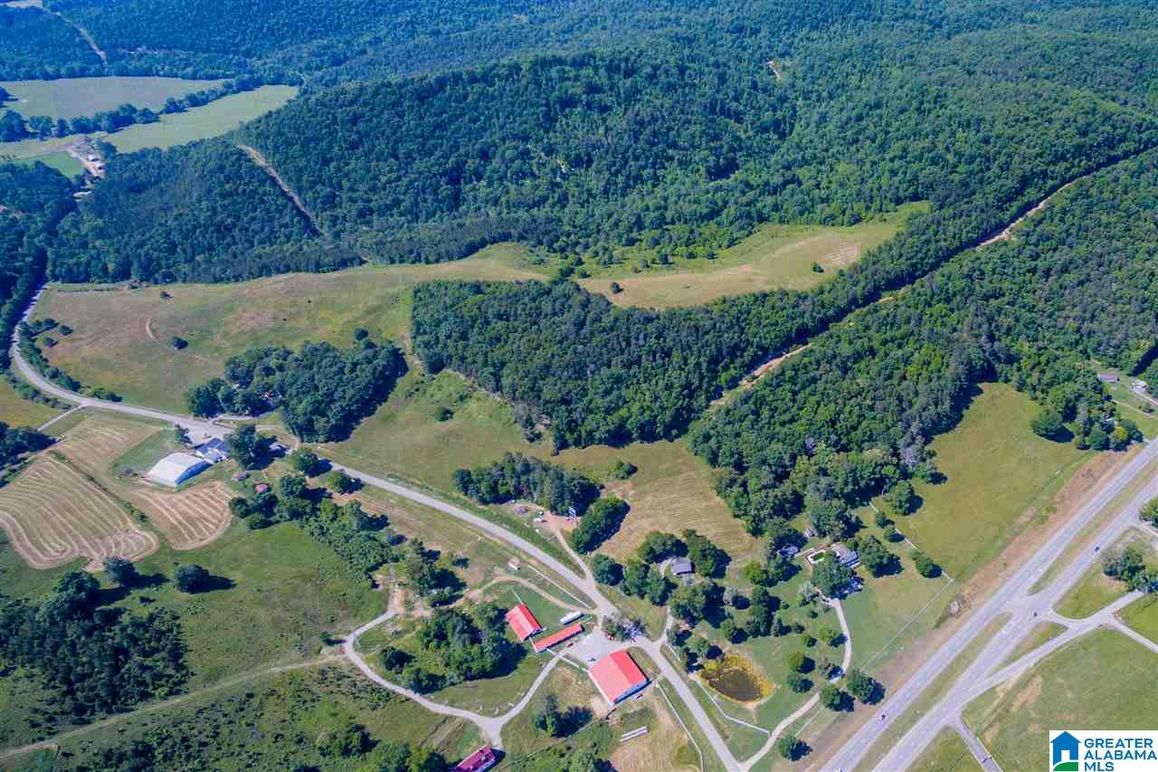20 County Road 15 Oneonta, AL 35121 - Photo 37 of 41