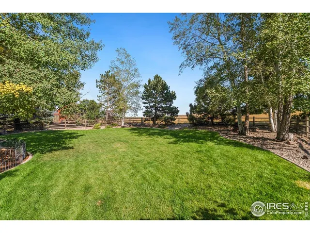 a view of yard with grass and trees
