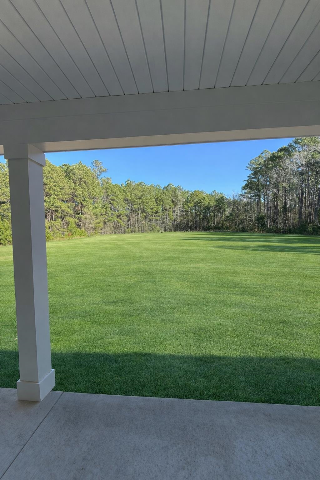 6318 Salem Road Myrtle Beach, SC 29588 - Photo 3 of 20 View of green lawn featuring a patio