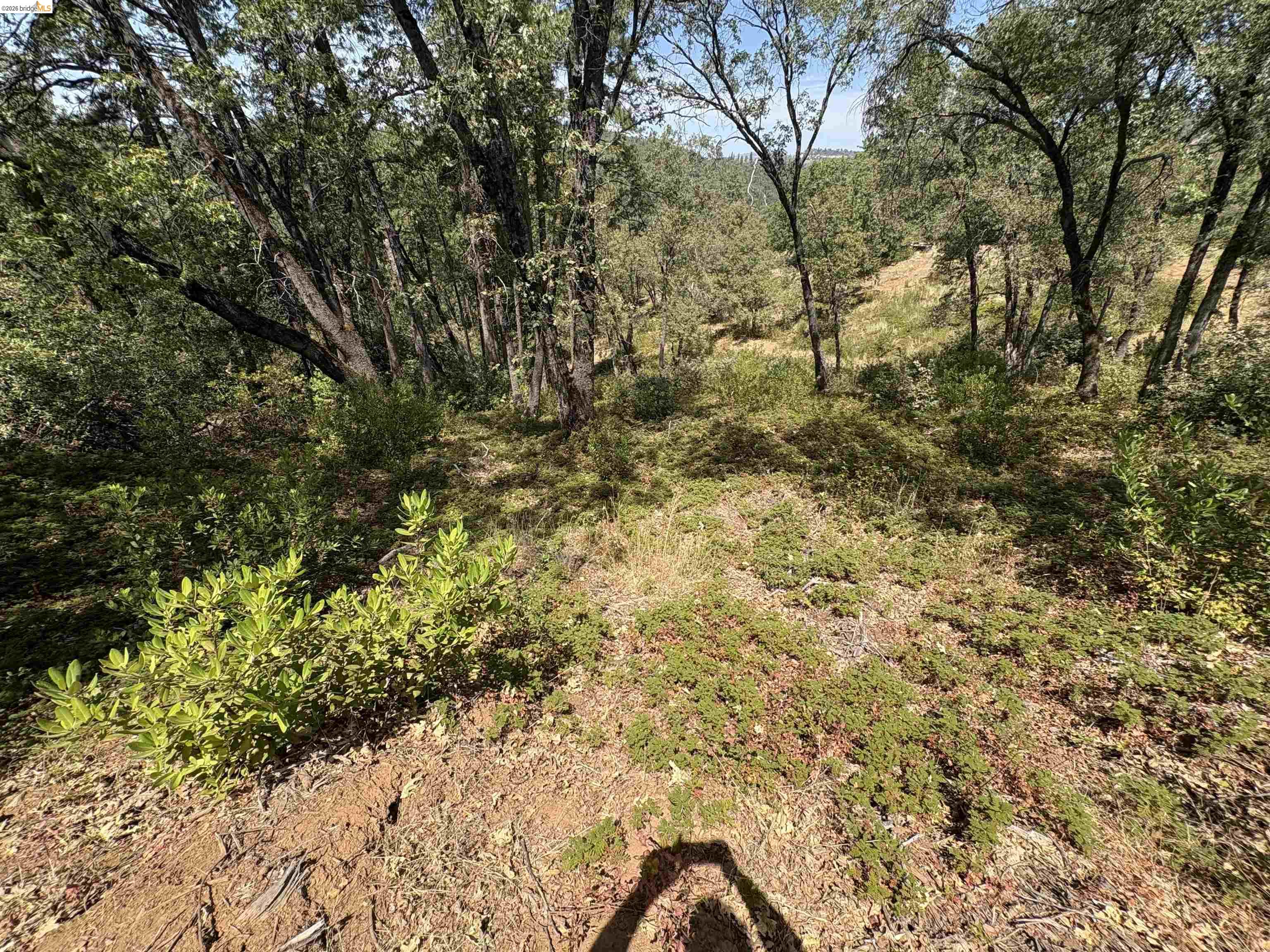 1440 Utica Powerhouse Road Murphys, CA 95247 - Photo 31 of 58 Gallery Image 31
