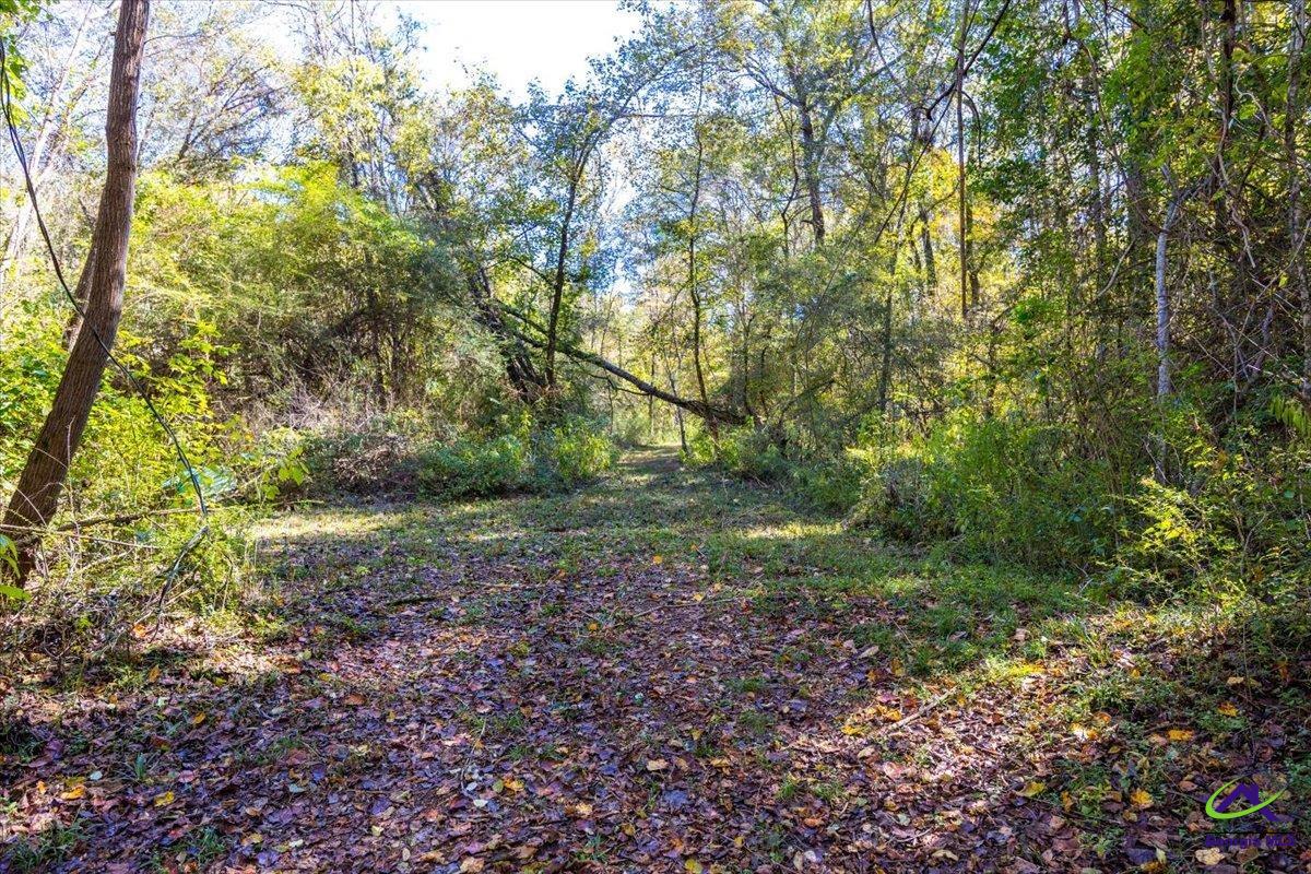 3271 Highway 42 Forsyth, GA 31029 - Photo 3 of 29