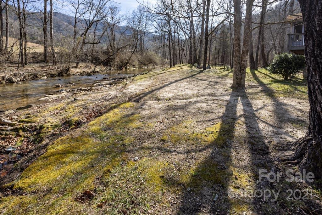 103 Edney Inn Road Hendersonville, NC 28792 - Photo 4 of 36 Gallery Image 4