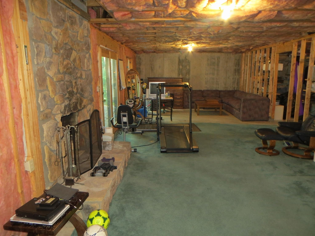 6645 Raintree Road Roanoke, VA 24018 - Photo 28 of 34 GREAT SPACE TO FINISH-SLIDING GLASS DOOR