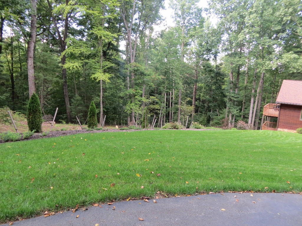 6645 Raintree Road Roanoke, VA 24018 - Photo 9 of 34 GORGEOUS LUSH GRASS!