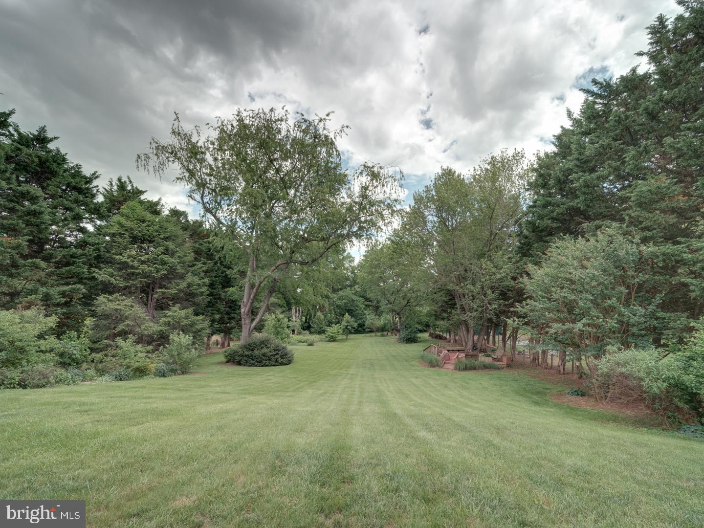4387 Stepney Drive Gainesville, VA 20155 - Photo 65 of 74 a view of outdoor space and yard