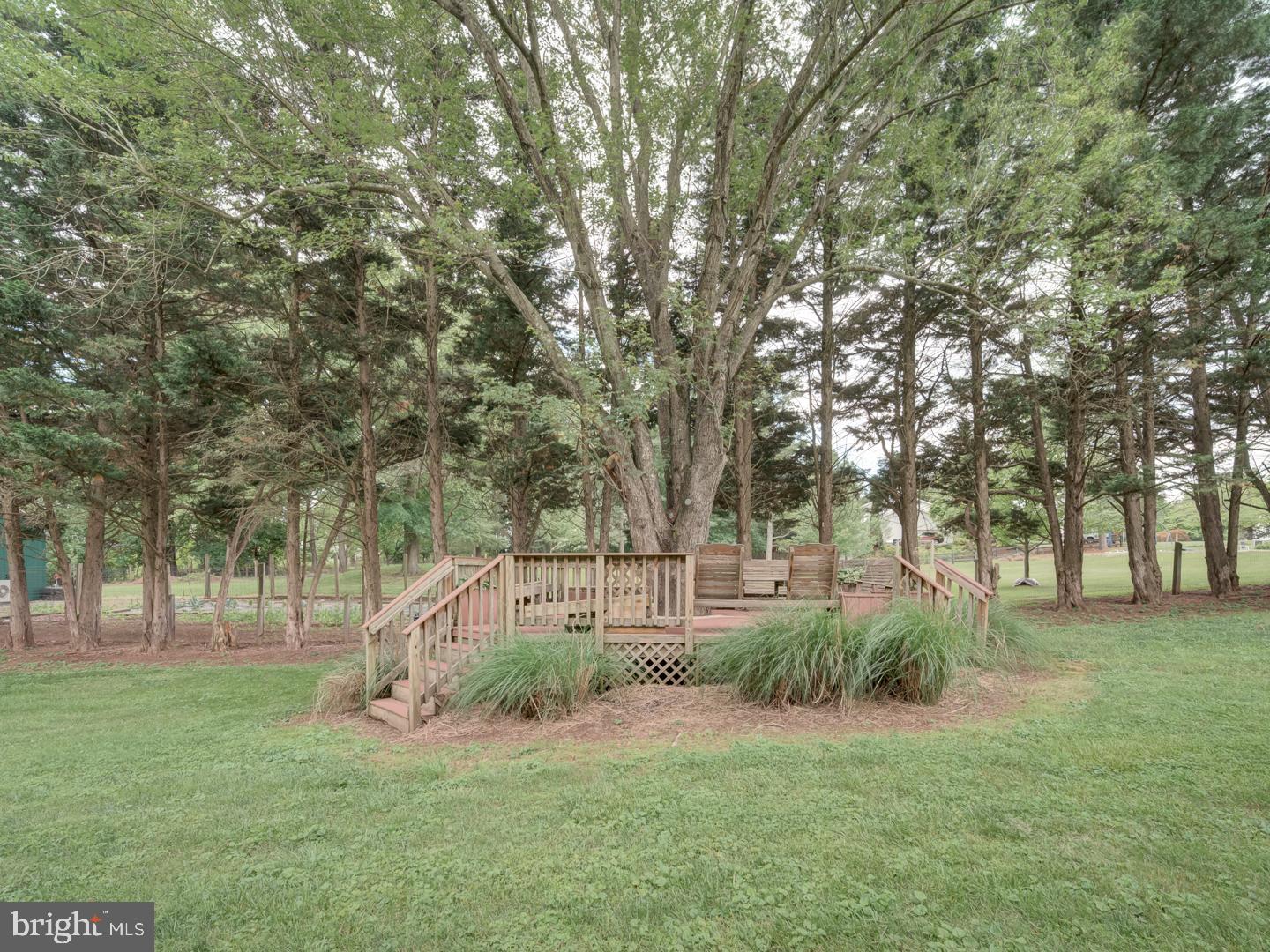 4387 Stepney Drive Gainesville, VA 20155 - Photo 66 of 74 a view of a park with large trees