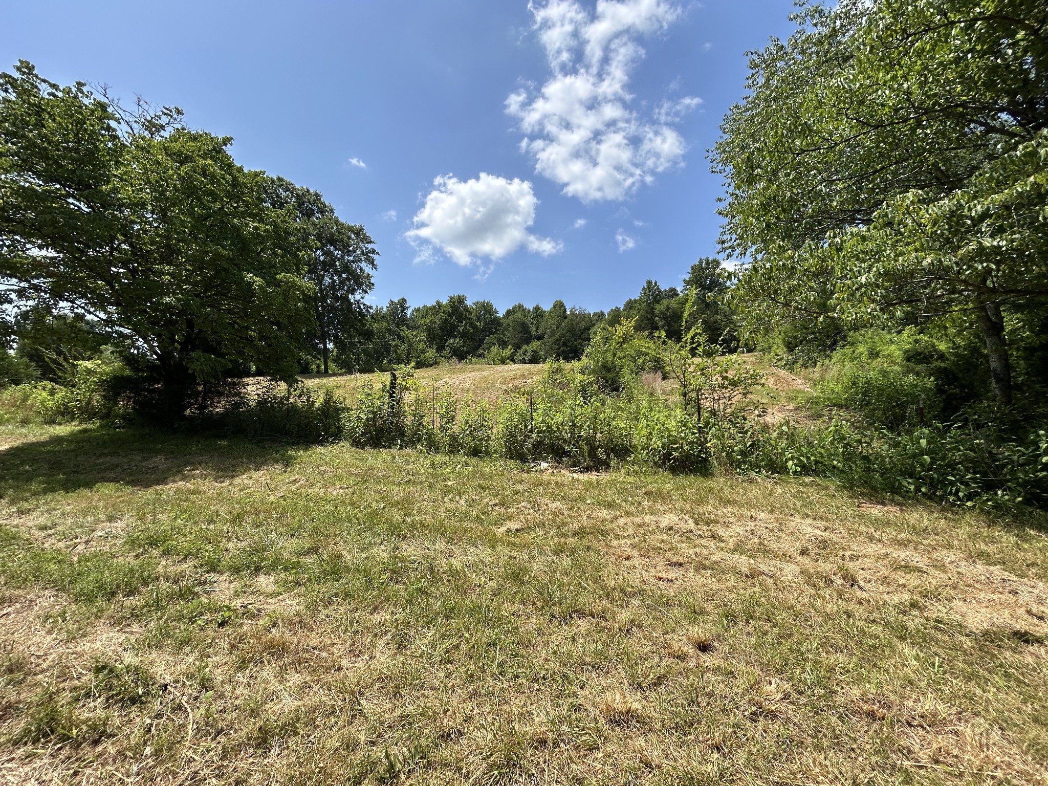 1 New Hope Cemetery Road Pulaski, TN 38478 - Photo 9 of 21