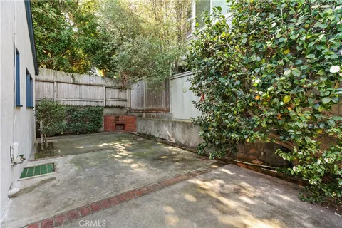 a view of backyard and tree