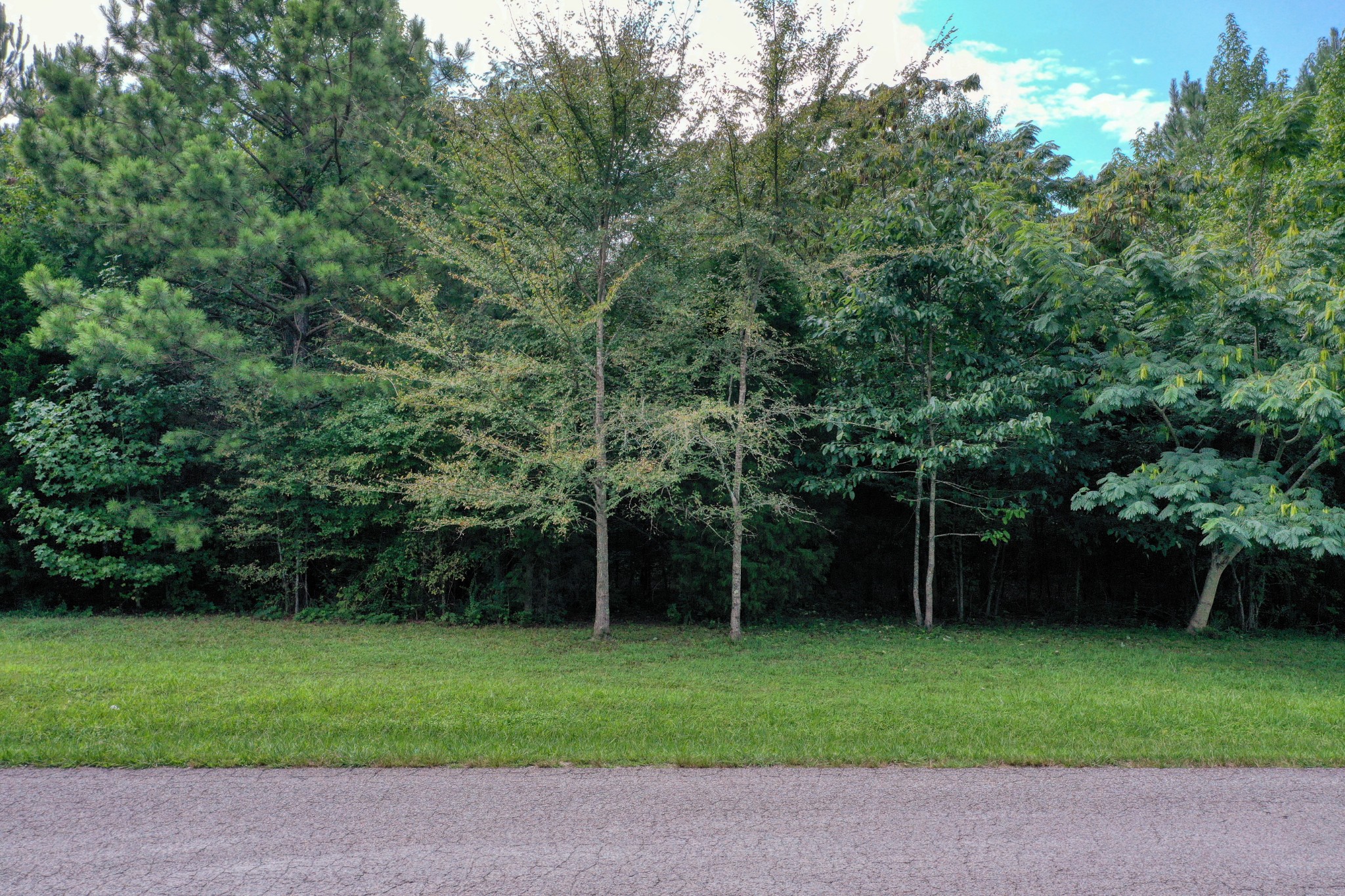 0 Lodge Road Camden, TN 38320 - Photo 3 of 7 Gallery Image 3