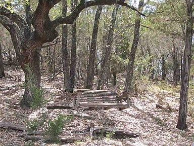 350 Bluff Road Spicewood, TX 78669 - Photo 14 of 22