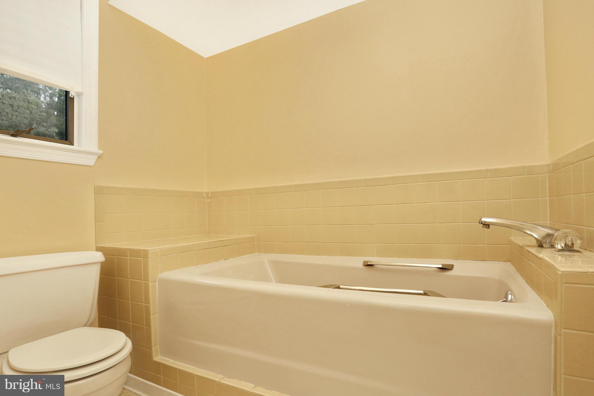 3789 Boteler Road Mount Airy, MD 21771 - Photo 22 of 30 Bath (Master)