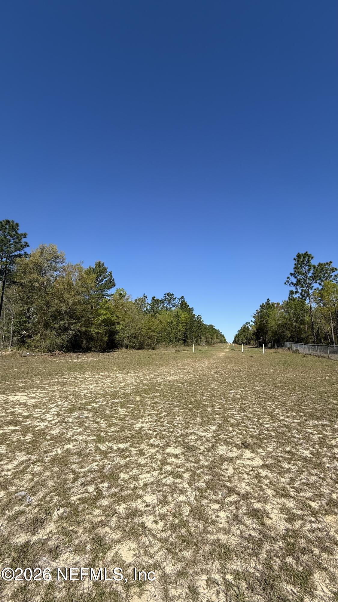 0 Mulberry Street Interlachen, FL 32148 - Photo 6 of 7 IMG_2518