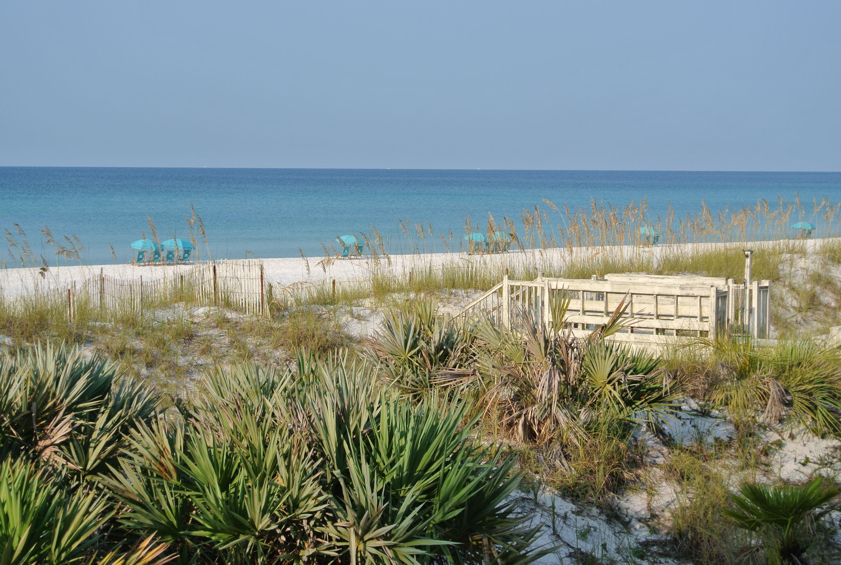 224 Rue Caribe Miramar Beach, FL 32550 - Photo 65 of 67 DSC_1867