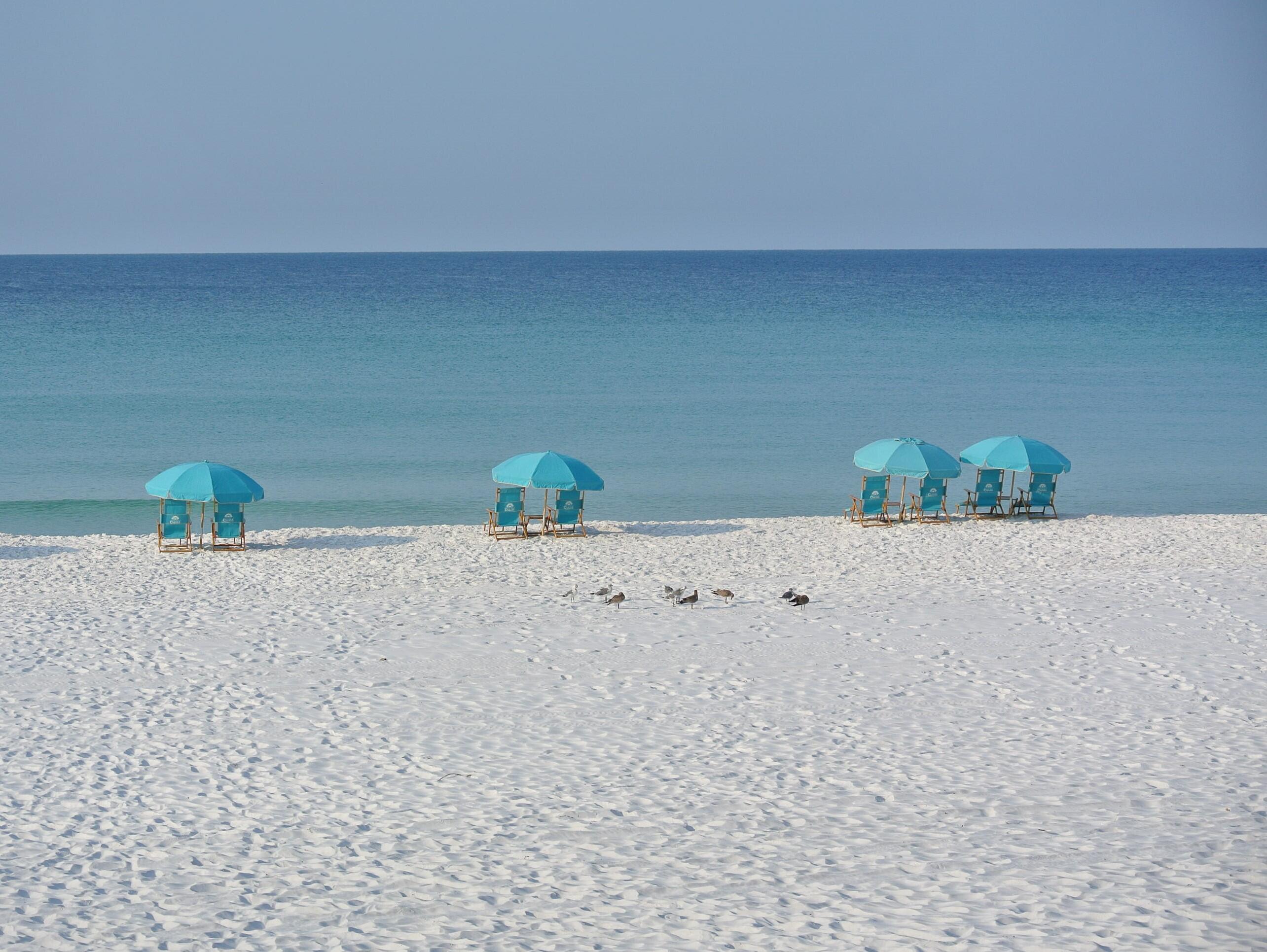 224 Rue Caribe Miramar Beach, FL 32550 - Photo 66 of 67 DSC_1869