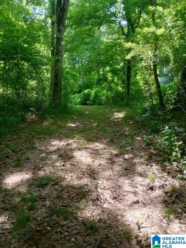 5100 Washington Valley Road, Unit PARCEL #1 Springville, AL 35146 - Photo 7 of 20