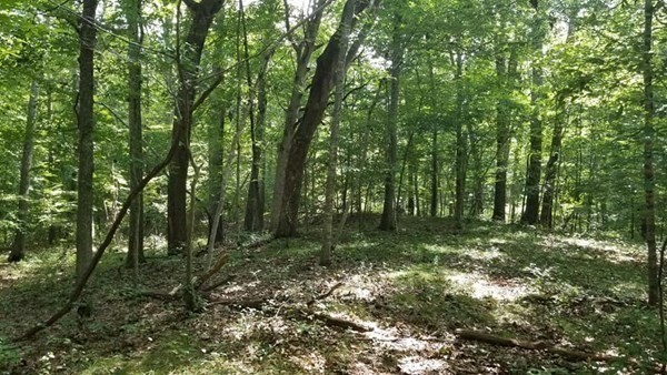 Xo Brook Road Scotland, CT 06247 - Photo 4 of 13 Gallery Image 4