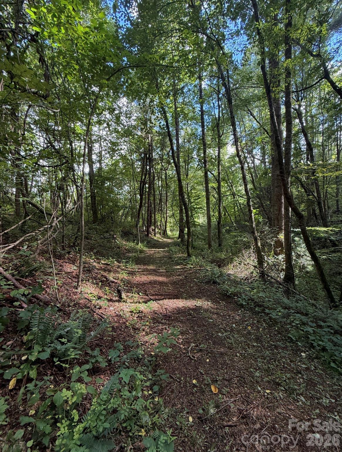 132 Hurd Road Canton, NC 28716 - Photo 39 of 41