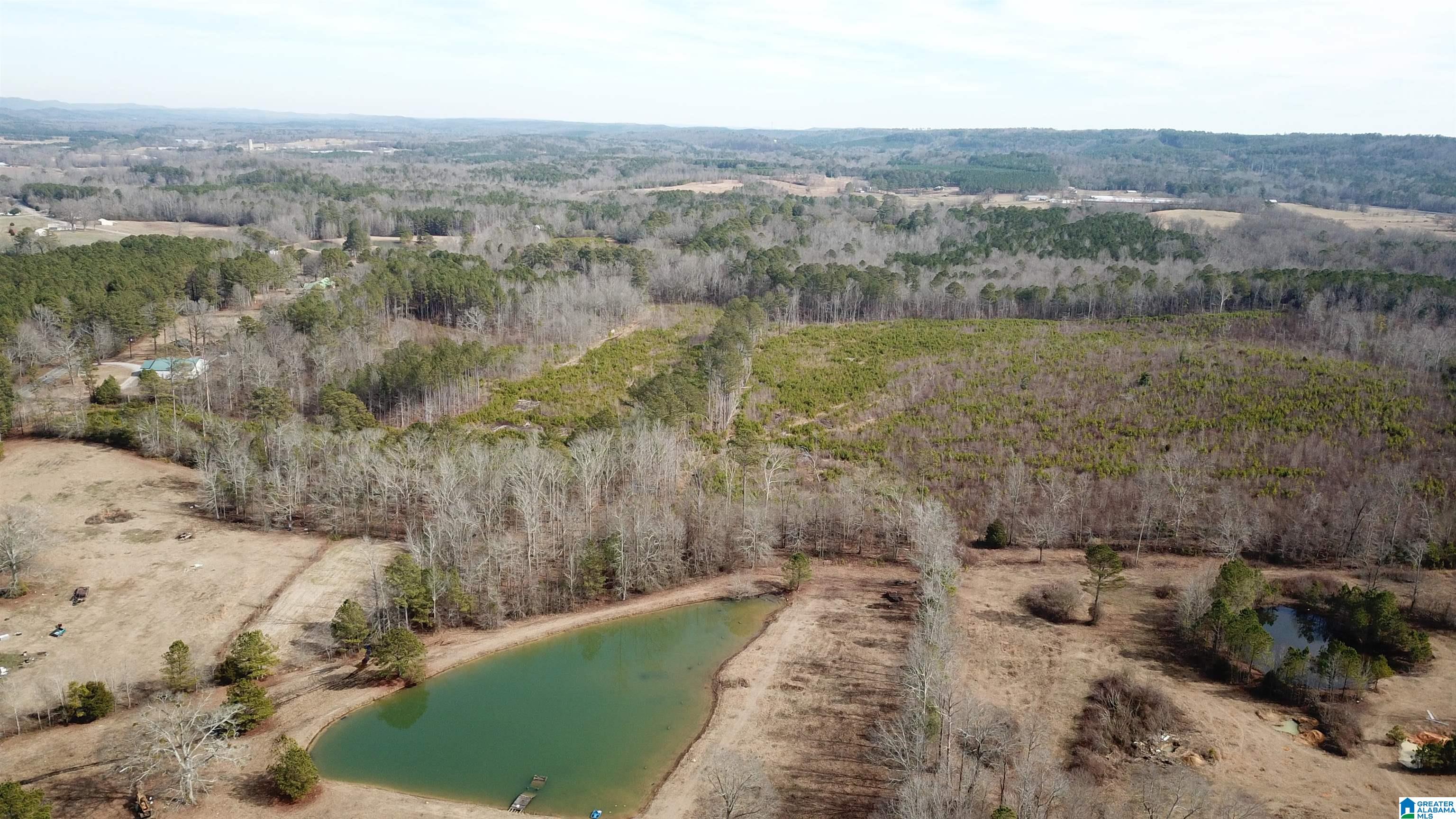 0 Altoona Cutoff Road, Unit 47 5 Oneonta, AL 35121 - Photo 29 of 36
