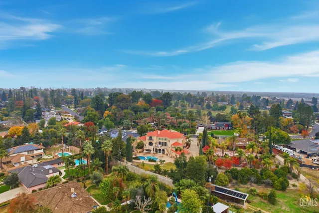 a view of a pathway with a palm trees