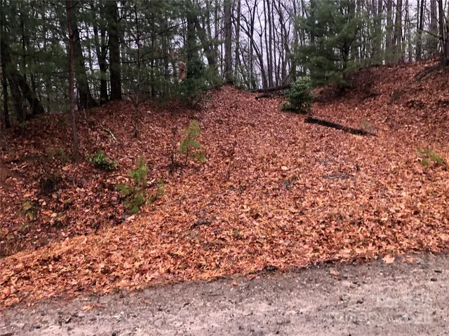 $27,500 | Tbd Pepper Bush Road, Unit 105, Purlear, NC 28665