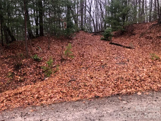 $27,500 | Tbd Pepper Bush Road, Unit 105, Purlear, NC 28665