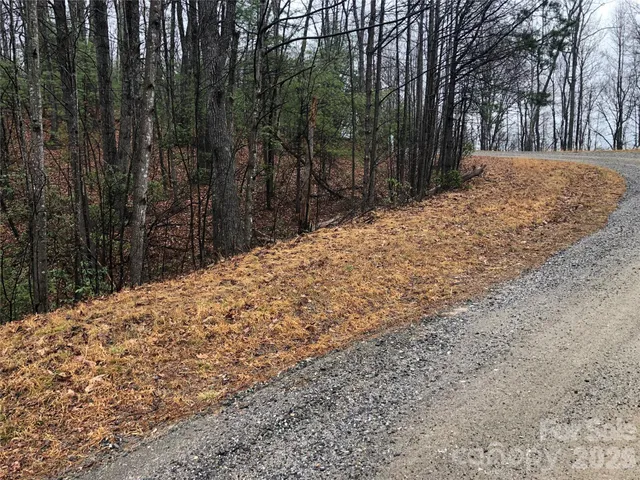 $27,500 | Tbd Pepper Bush Road, Unit 105, Purlear, NC 28665