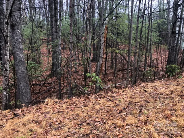 $27,500 | Tbd Pepper Bush Road, Unit 105, Purlear, NC 28665