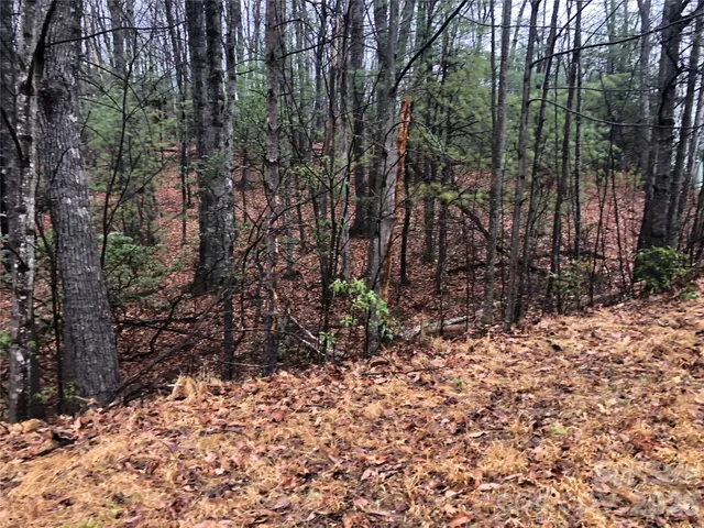 $27,500 | Tbd Pepper Bush Road, Unit 105, Purlear, NC 28665