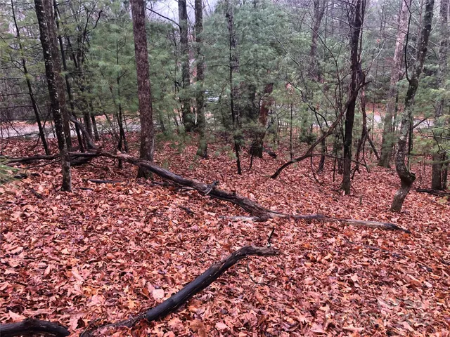 $27,500 | Tbd Pepper Bush Road, Unit 105, Purlear, NC 28665