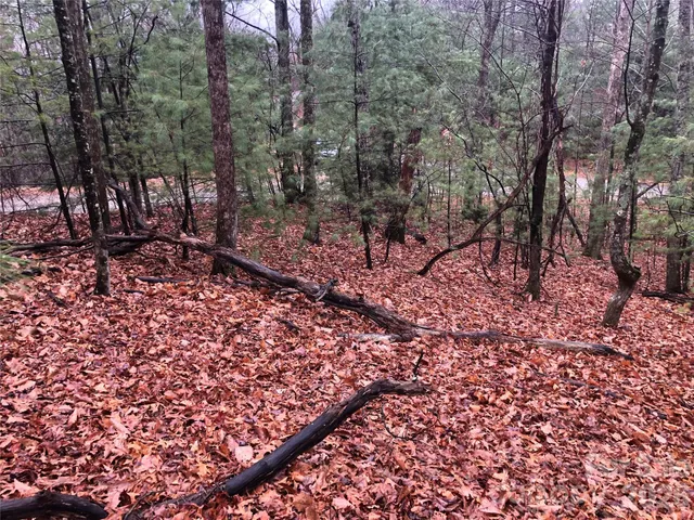 $27,500 | Tbd Pepper Bush Road, Unit 105, Purlear, NC 28665