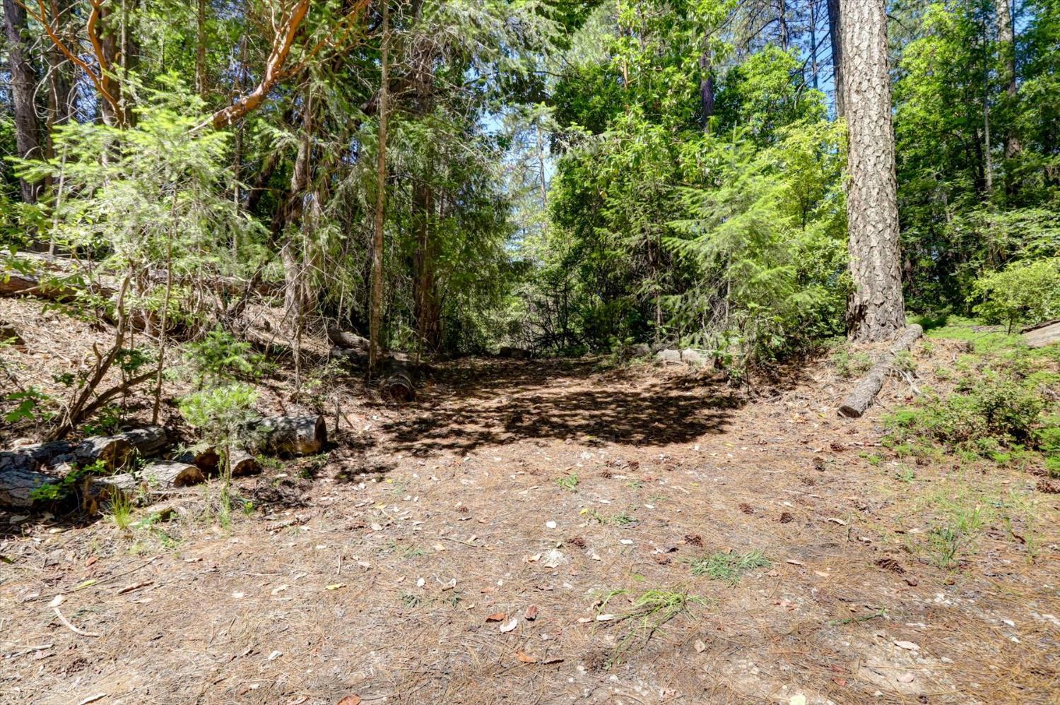 17390 Skyland Road Nevada City, CA 95959 - Photo 14 of 17