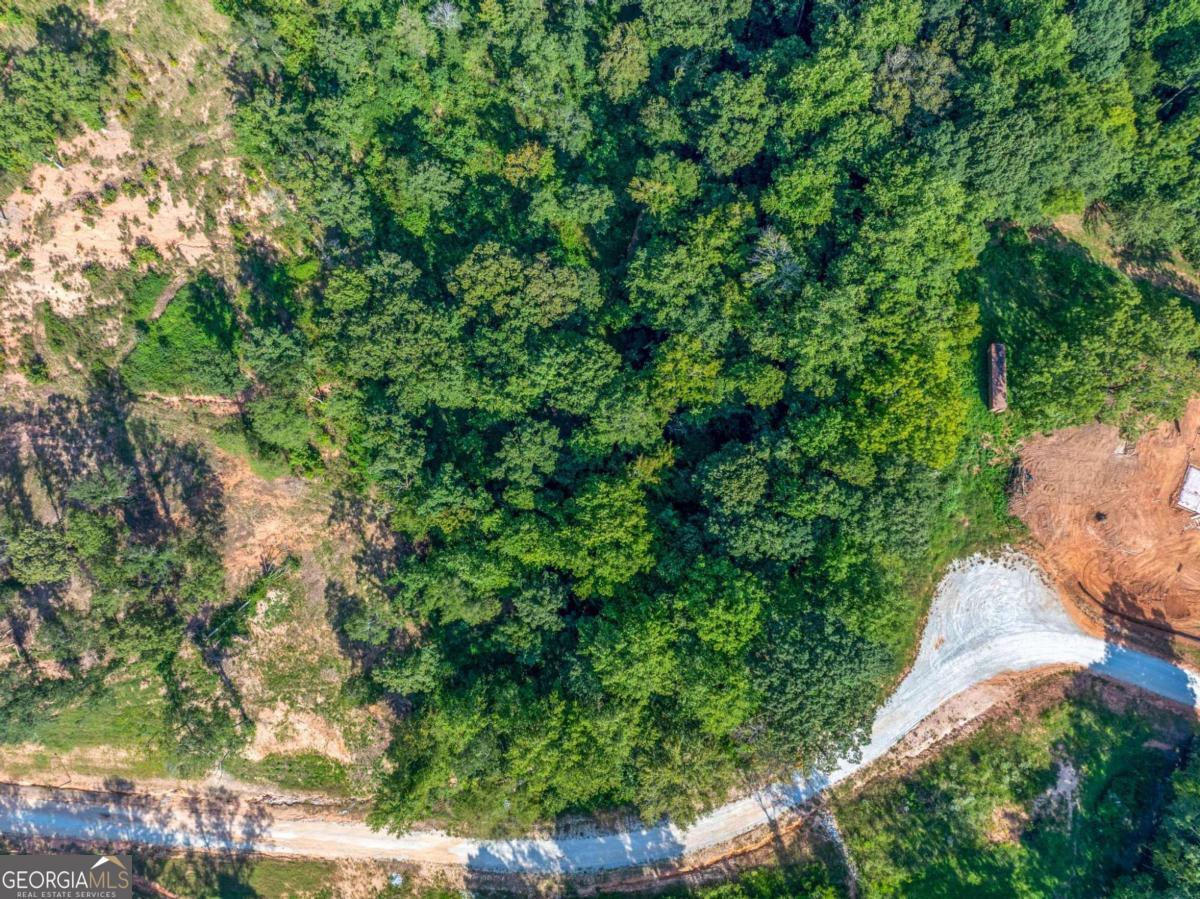 Lot 4 Stewart Loop Jefferson, GA 30549 - Photo 6 of 12 a view of a yard