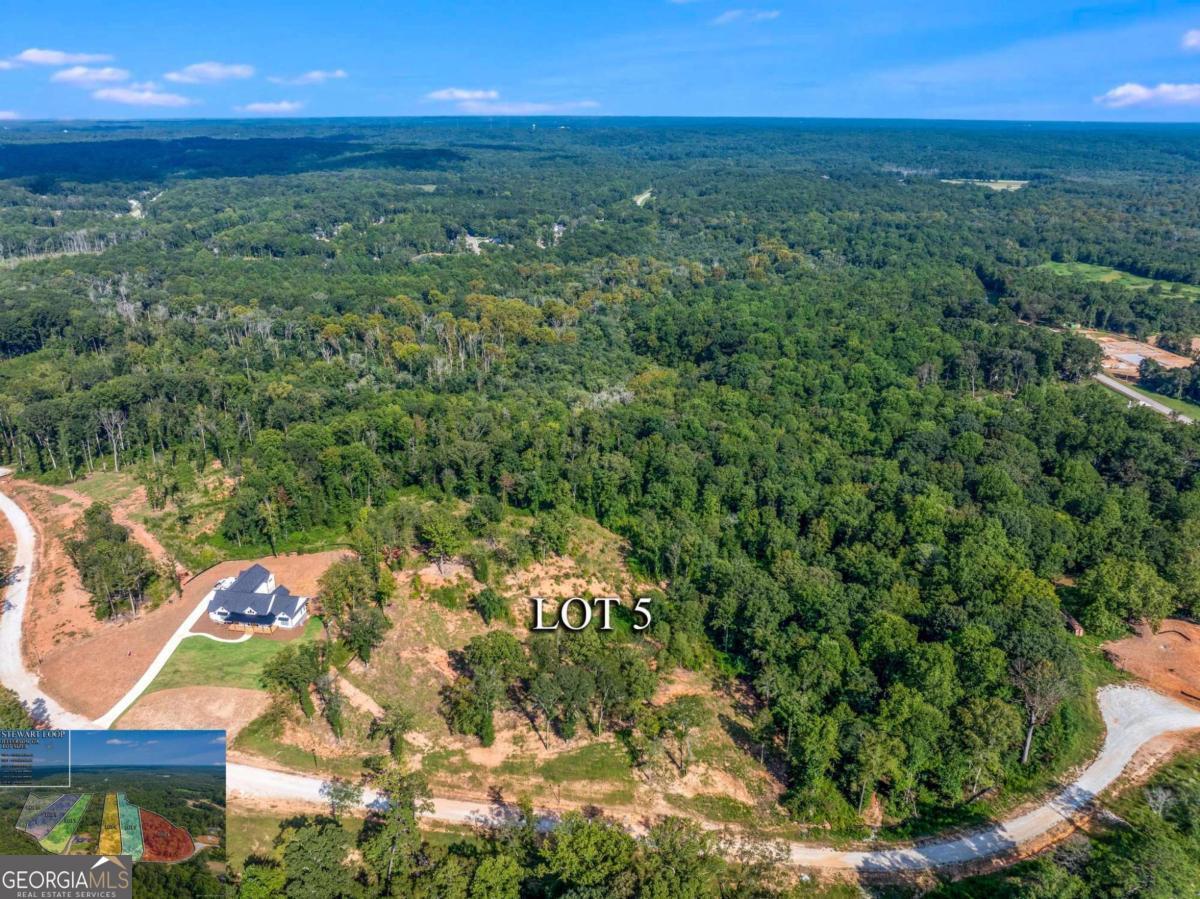 Lot 4 Stewart Loop Jefferson, GA 30549 - Photo 8 of 12