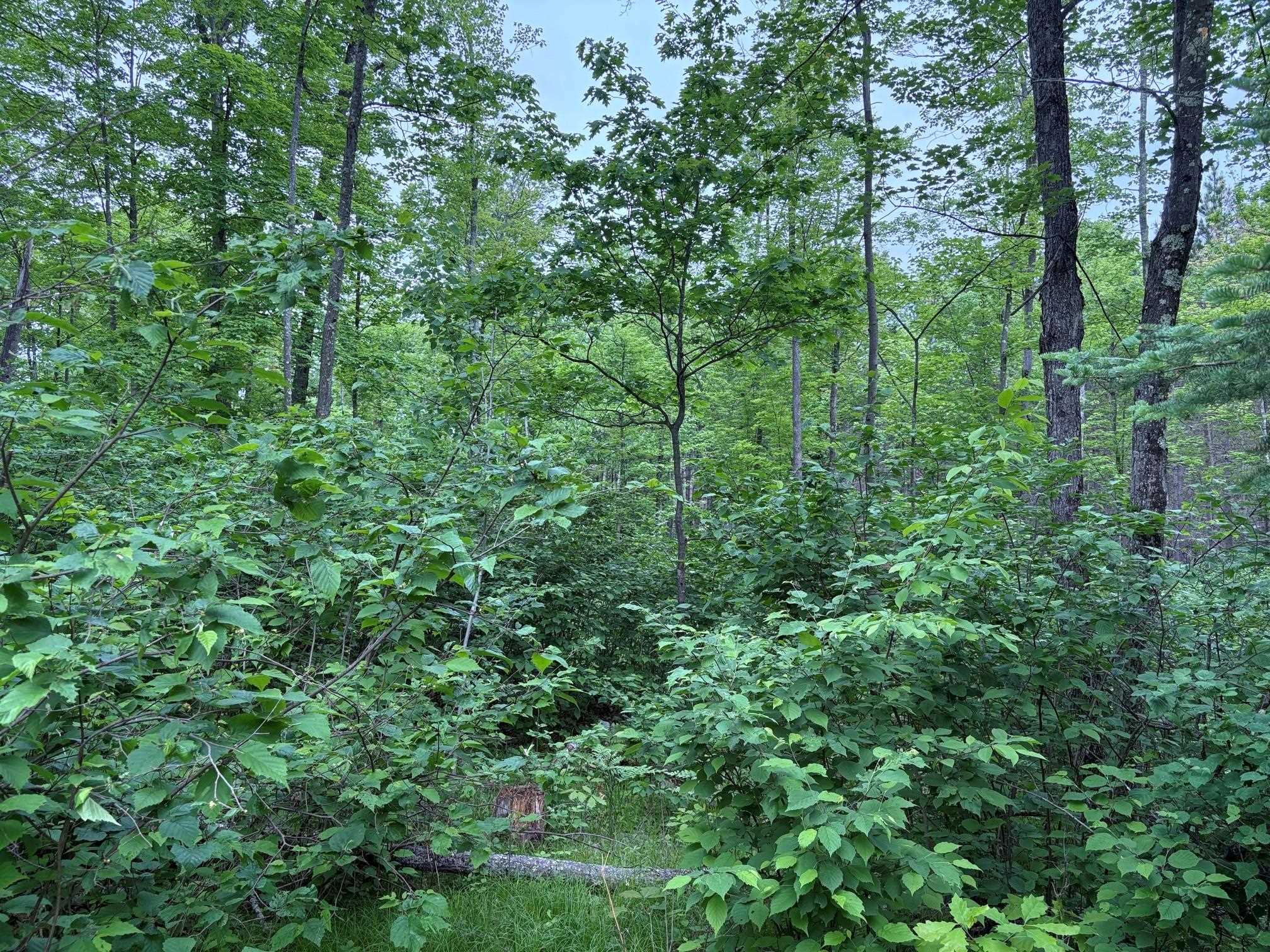 W15816 Fawn Acres Road Fence, WI 54120 - Photo 5 of 14