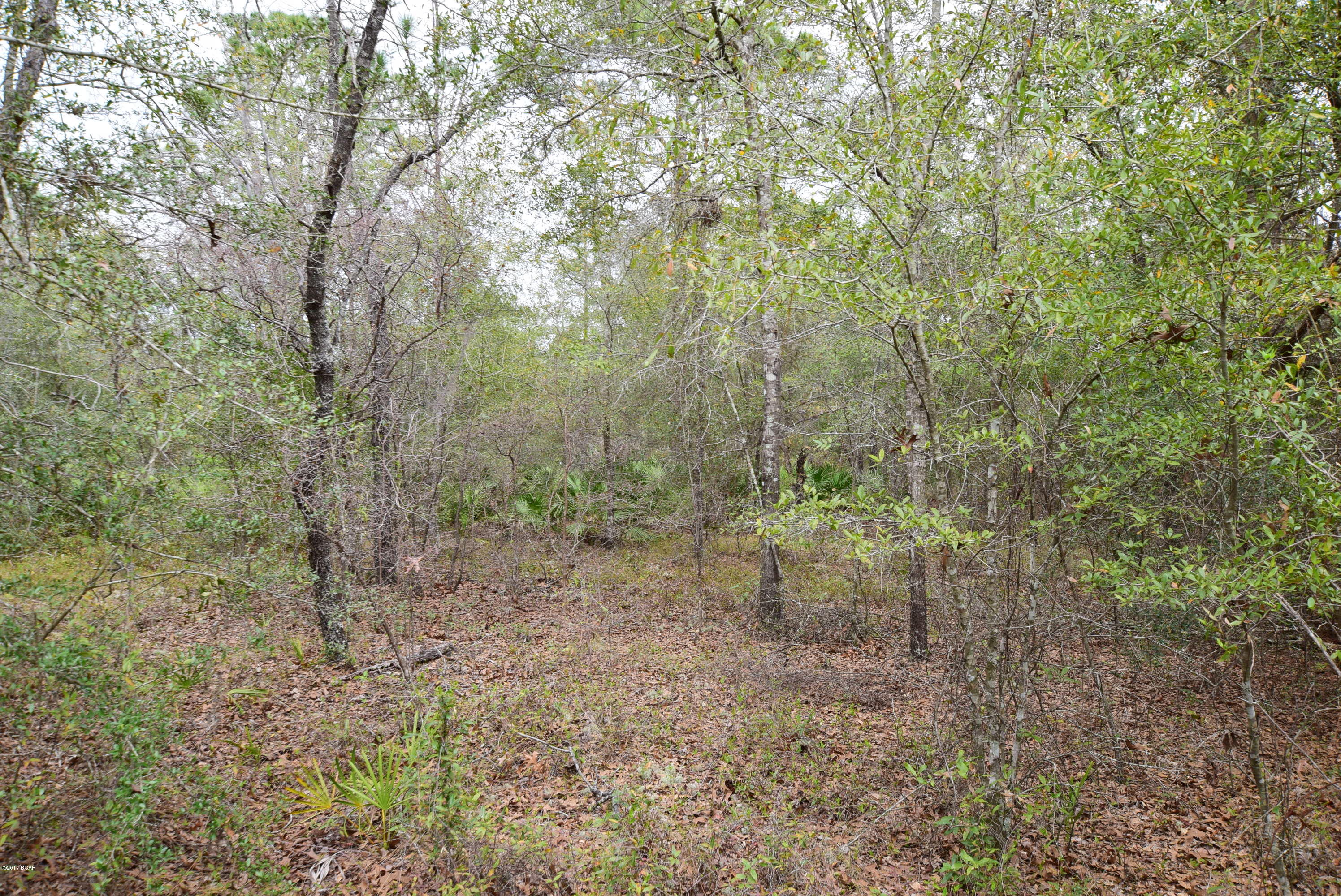 20938 Hightower Road Fountain, FL 32438 - Photo 19 of 29 Gallery Image 19