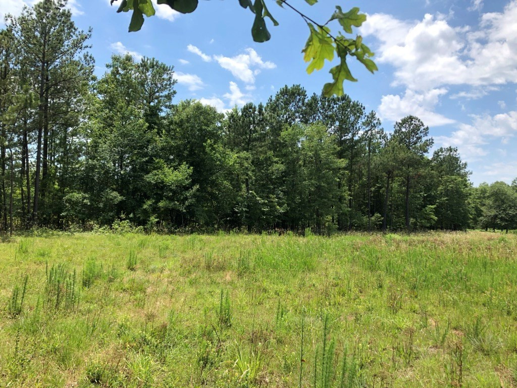 6.33-acres Implement Road Aiken, SC 29803 - Photo 17 of 18