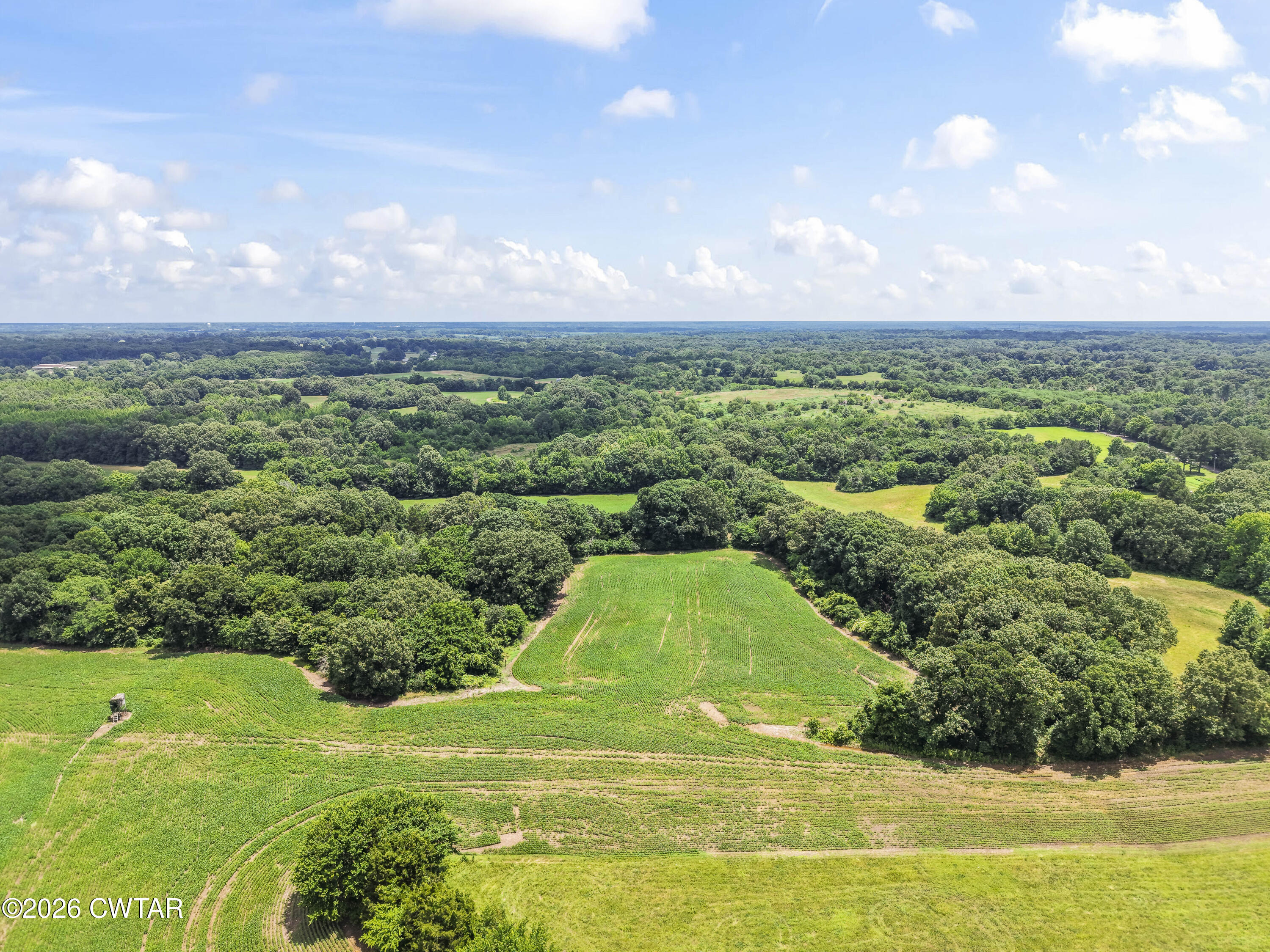 0 Aubrey Ferguson Road Gadsden, TN 38337 - Photo 3 of 15 a view of a golf course with green space