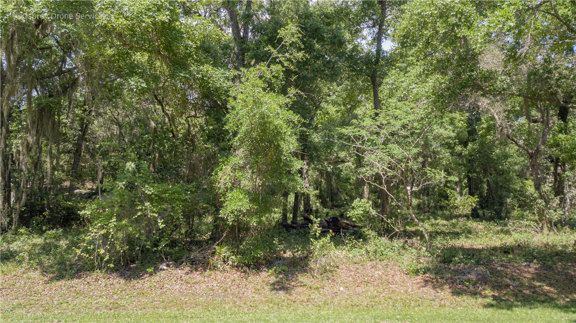85165 Schubert Road Fernandina Beach, FL 32034 - Photo 11 of 11 Gallery Image 11