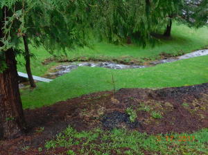 37430 Upper Nestucca Road Beaver, OR 97108 - Photo 4 of 20 Sweet Little Creek