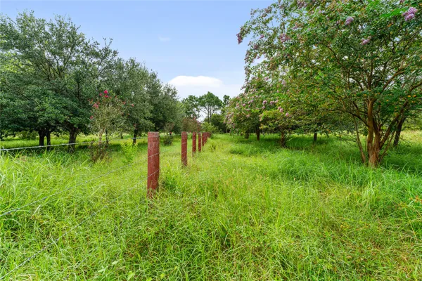 a big yard with lots of green space and plants