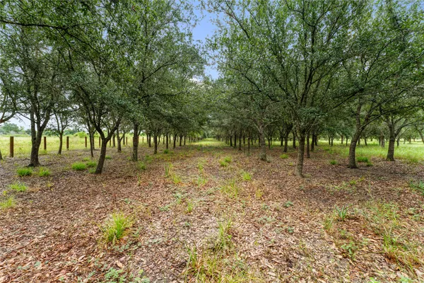 a view of outdoor space with trees all around