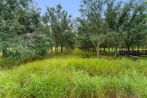 a view of swimming pool with a yard