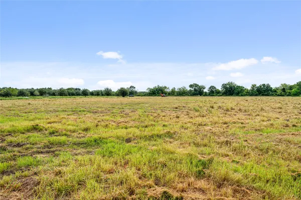 a view of a park with large trees