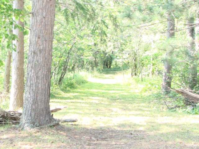 5575 Gade Road Mercer, WI 54547 - Photo 19 of 20 Gallery Image 19