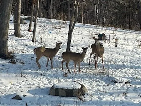 $900,000 | 4310 Deere Trail, Chaska, MN 55318