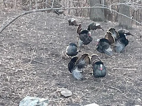 $900,000 | 4310 Deere Trail, Chaska, MN 55318