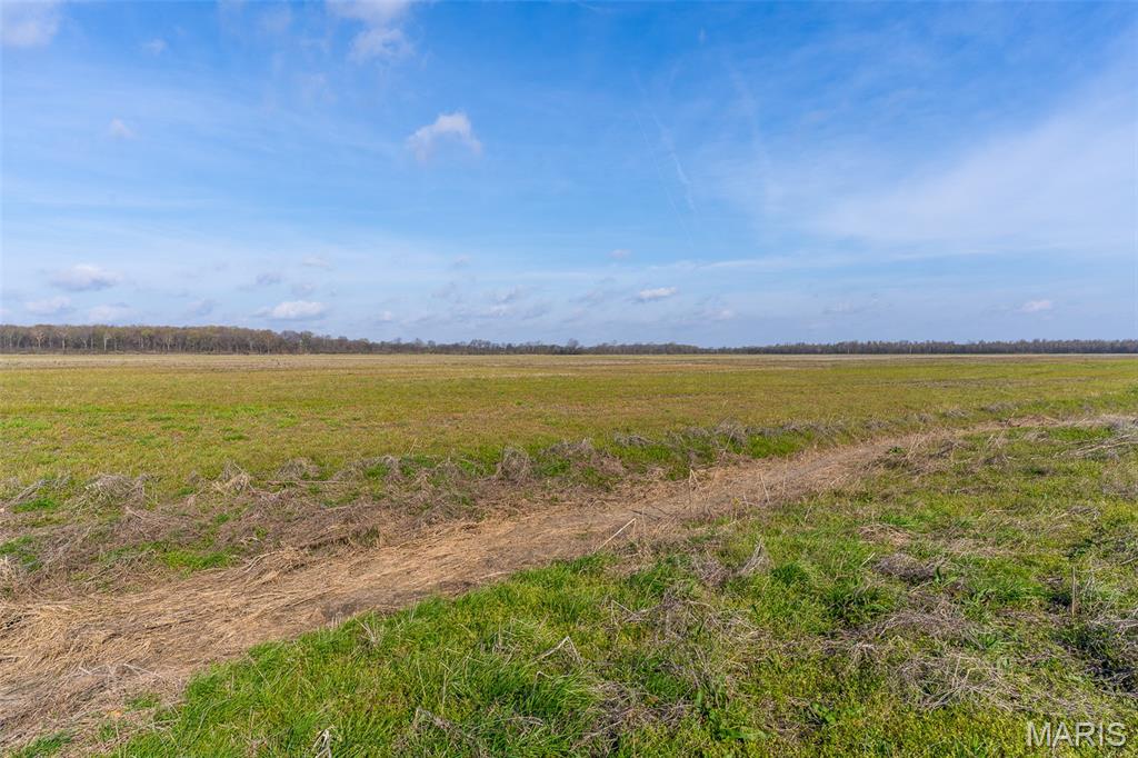 0 State Highway, Unit 5 East Prairie, MO 63845 - Photo 5 of 20